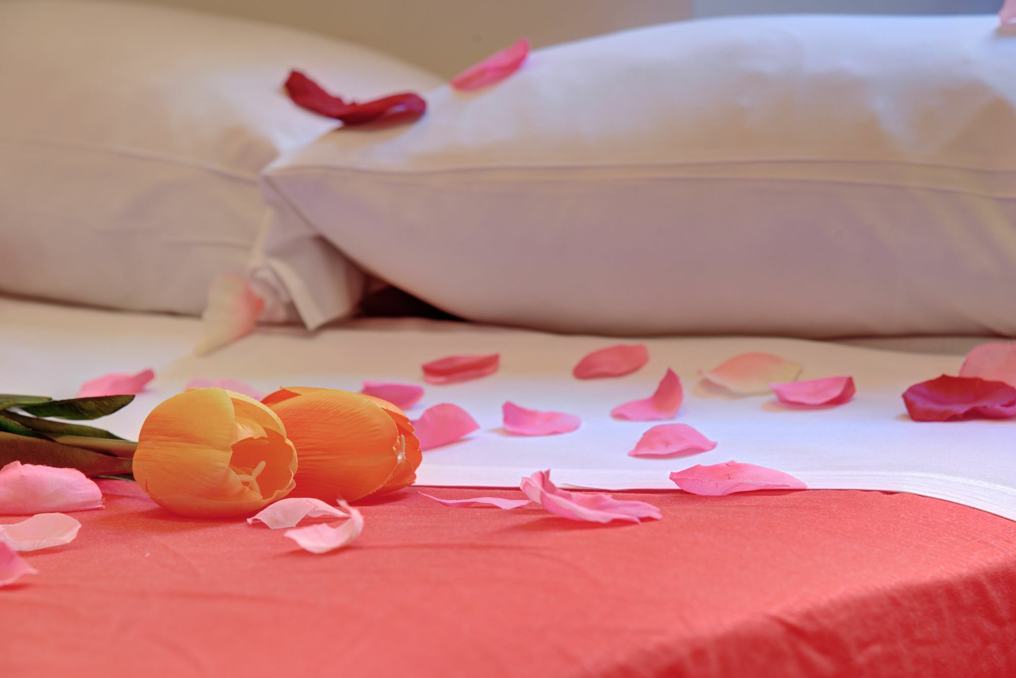 Ad Hoc Guest House روما المظهر الخارجي الصورة
