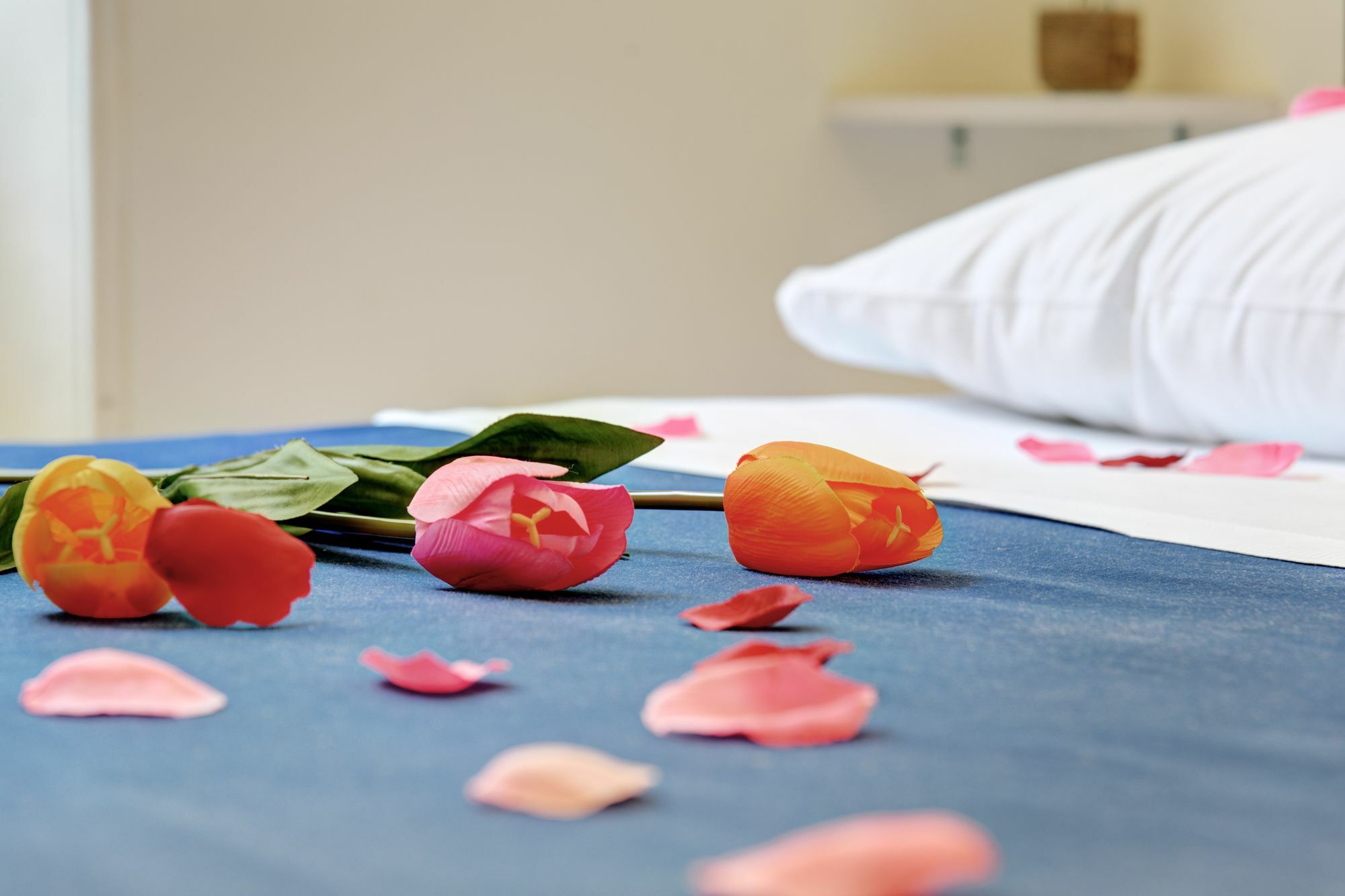 Ad Hoc Guest House روما المظهر الخارجي الصورة